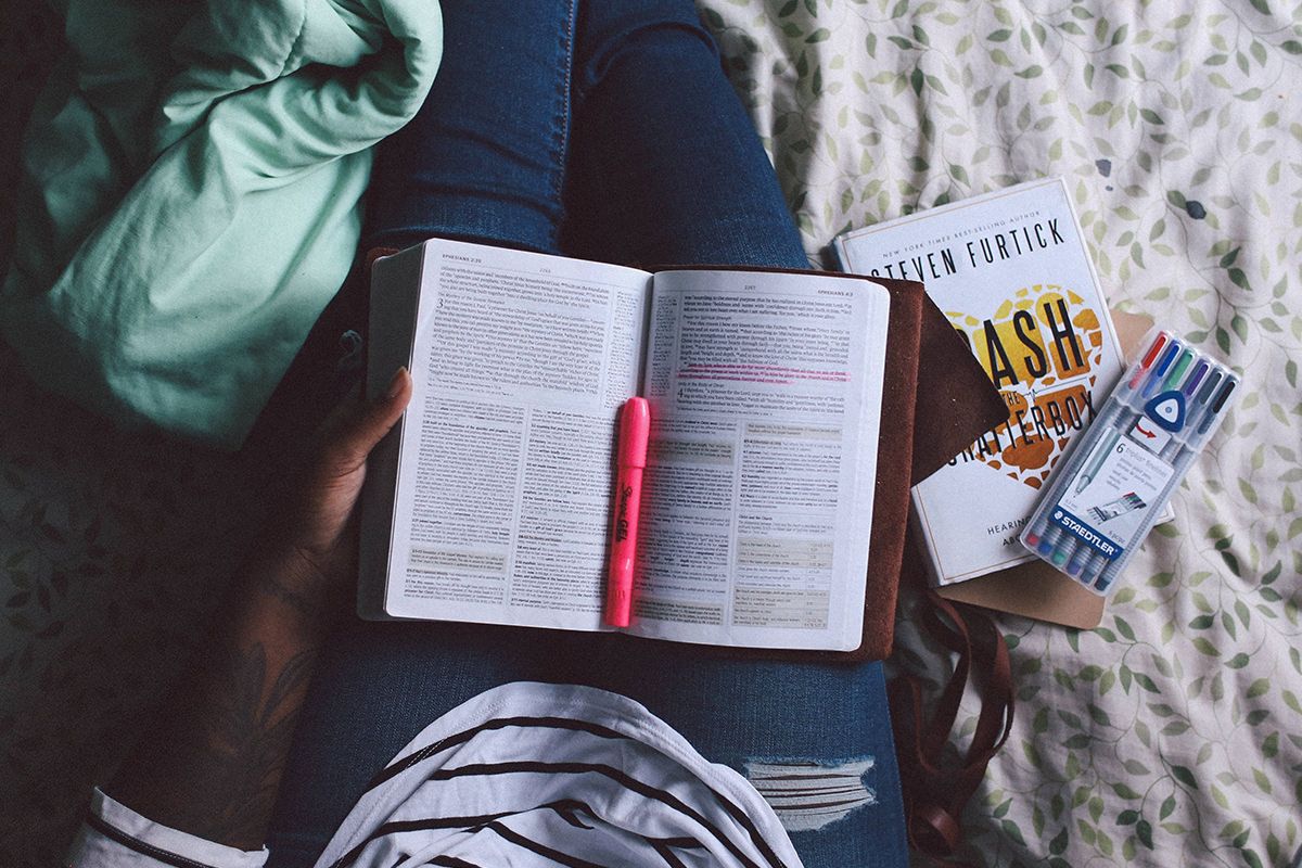 Person Studying Person Studying